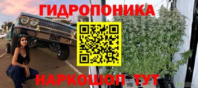 бошки Ефремов