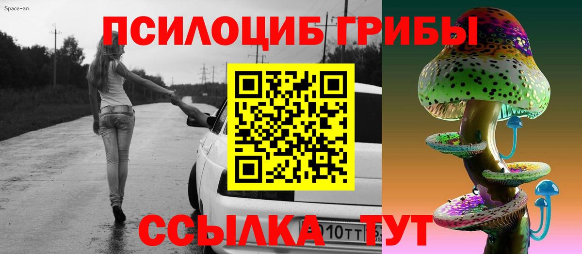 Галлюциногенные грибы Psilocybe  Вход с VPN  Сыктывкар 